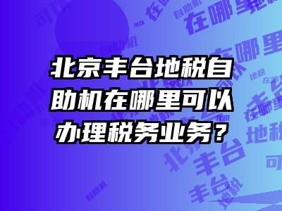 北京丰台地税自助机在哪里可以办理税务业务？